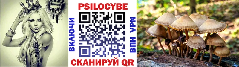 что такое Россошь Галлюциногенные грибы мицелий