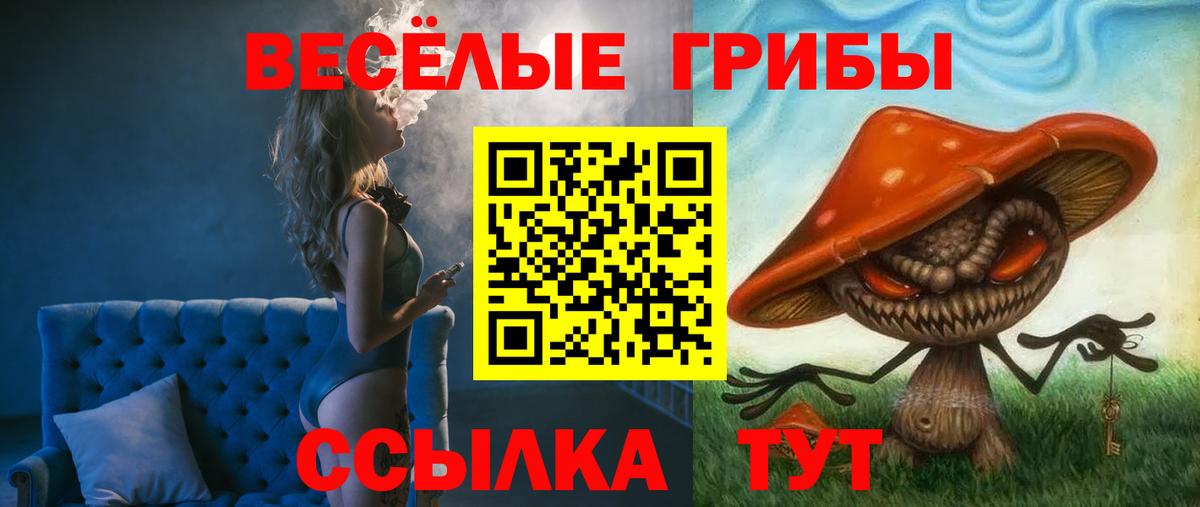 Россошь  Галлюциногенные грибы мухоморы  дарнет шоп  Вход с VPN 